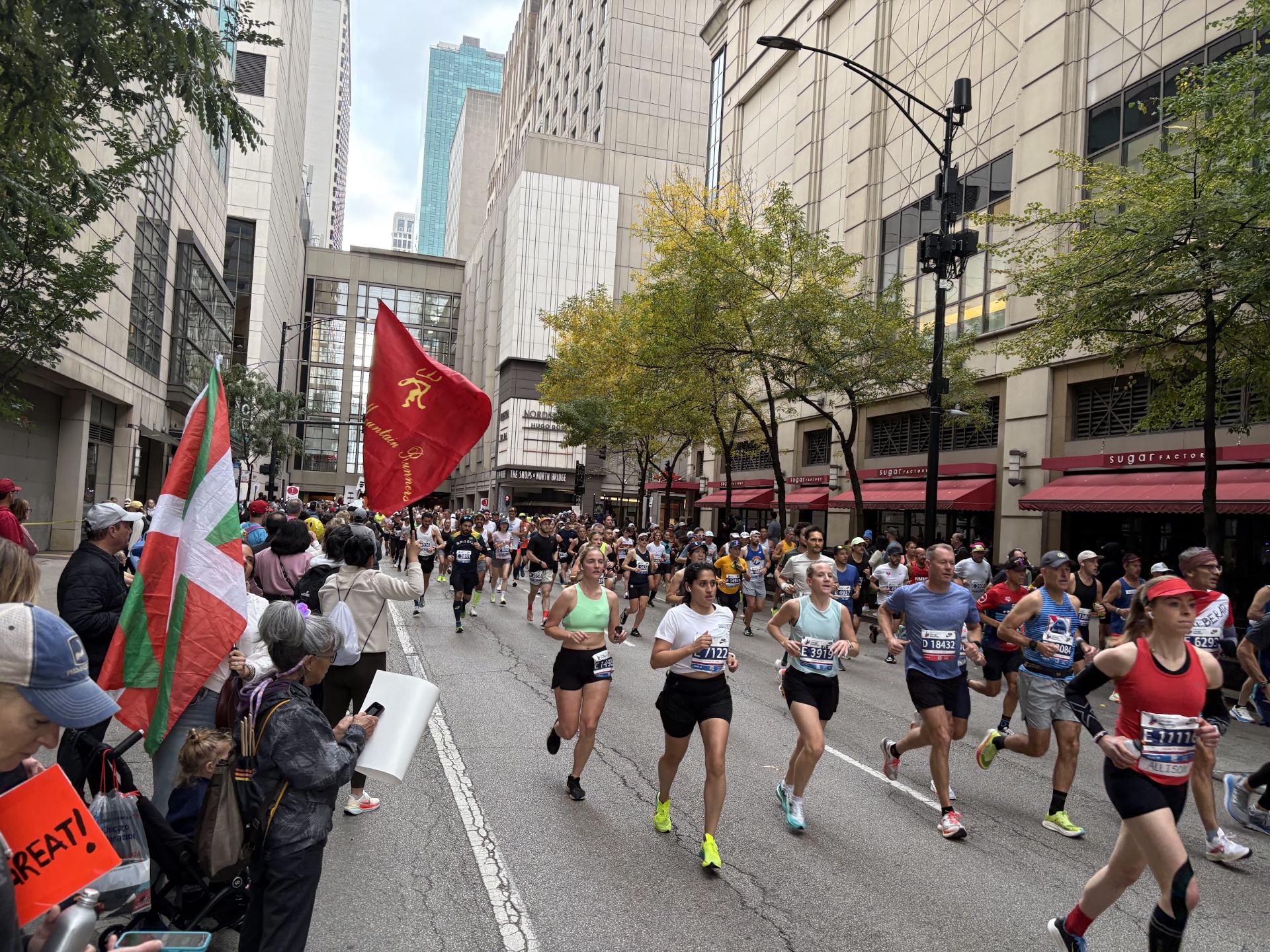 Spectators cheering runners on Michigan Avenue at the Chicago Marathon